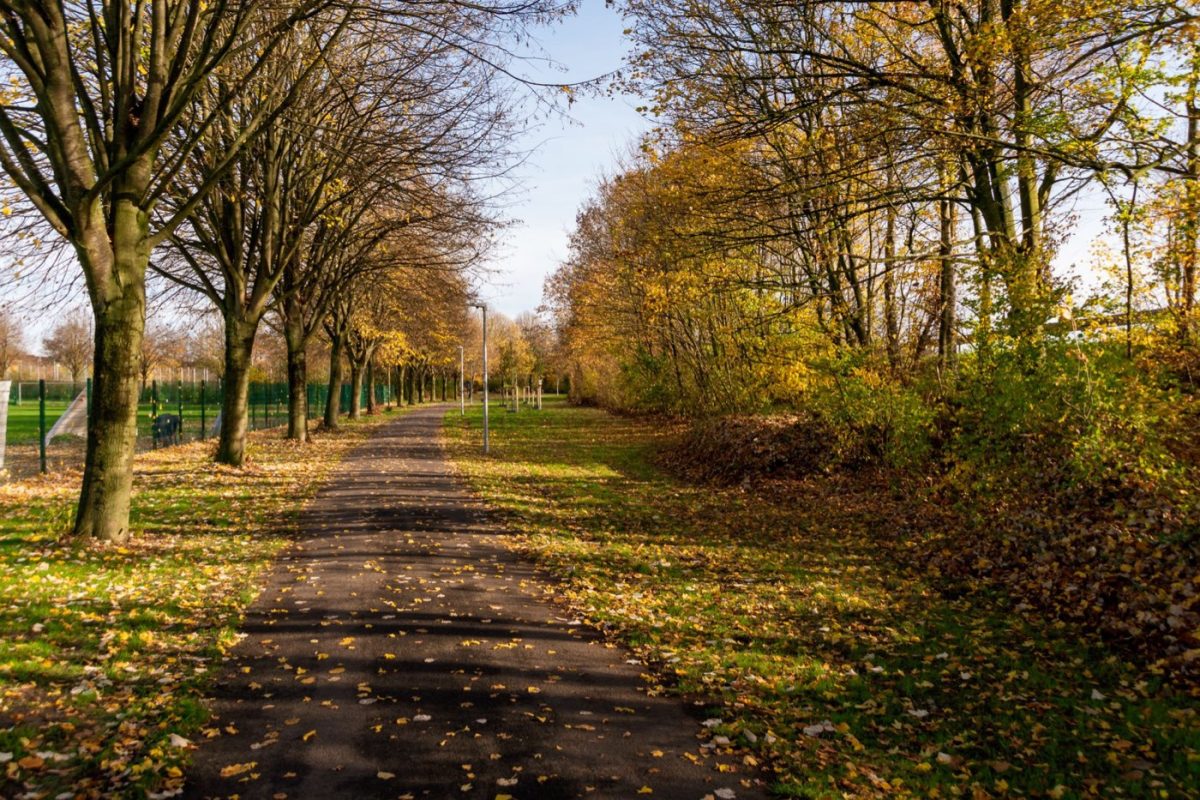 Guide pour débutants : commencer à marcher tous les jours